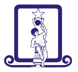 Design Star Art Logo